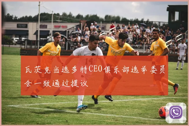 瓦茨克当选多特CEO俱乐部选举委员会一致通过提议
