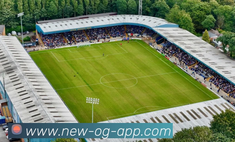 OG真人平台生态图